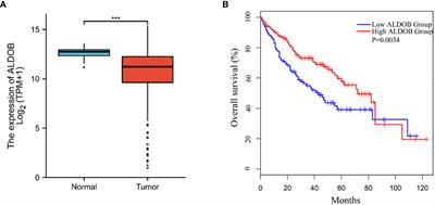 Prognostic values of ALDOB expression and 18F-FDG PET/CT in hepatocellular carcinoma